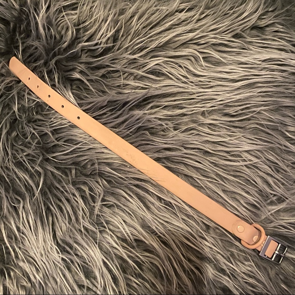 Wild One Blush Collar